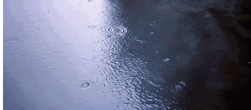 1556612798701704.gif 1556612798701704.gif