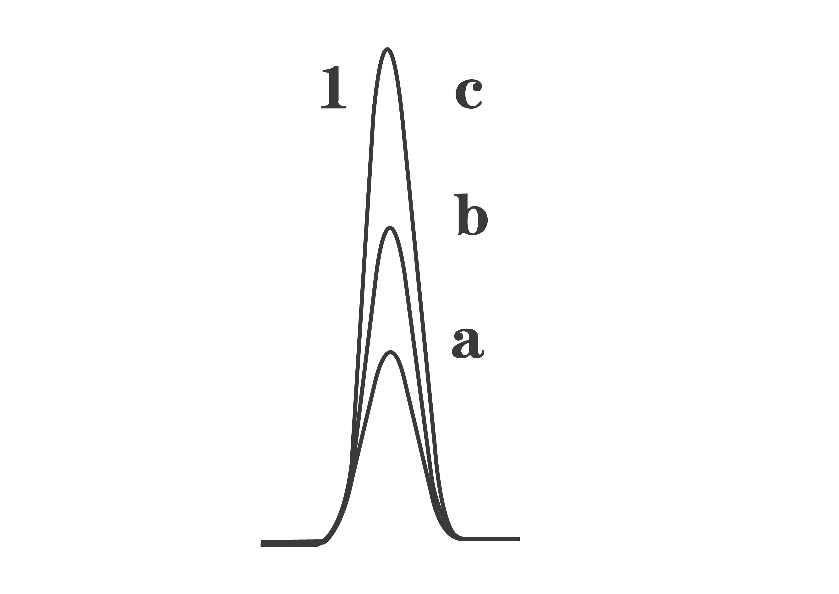 1611128852324588.jpg 圖-01.jpg