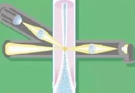 1639625114131444.jpg 4.webp.jpg