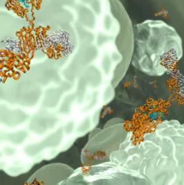 1641542348153623.jpg 1.jpg