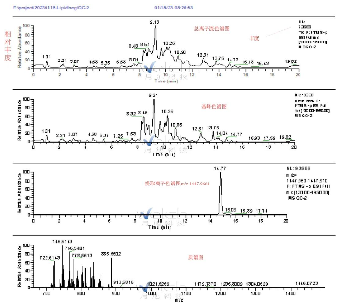 1684723900312841.png 4.png