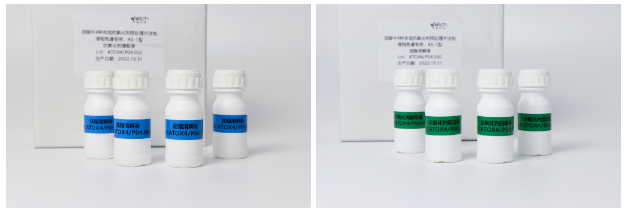 1691386774212533.png 2.png