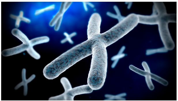 1711097284750128.png 3.png